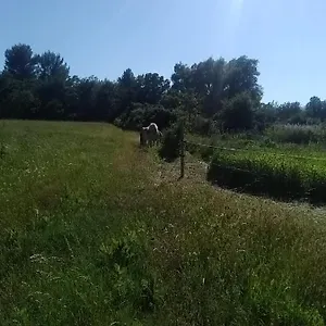 Hébergement de vacances Maison Individuelle 5 Couchages Dans Ferme Equestre, Aups